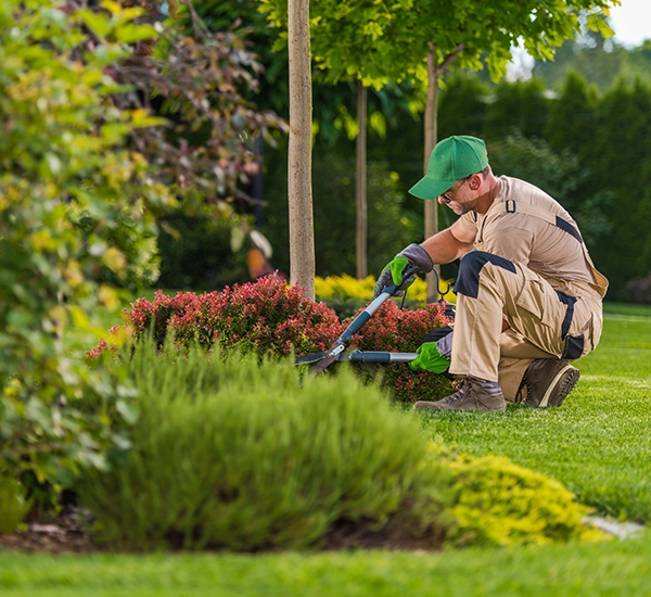 landscaping