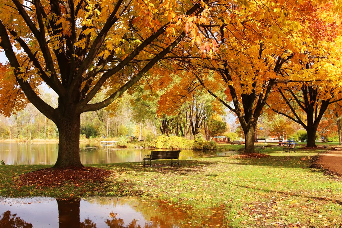 remodeling-contractor-at-waunakee-wi